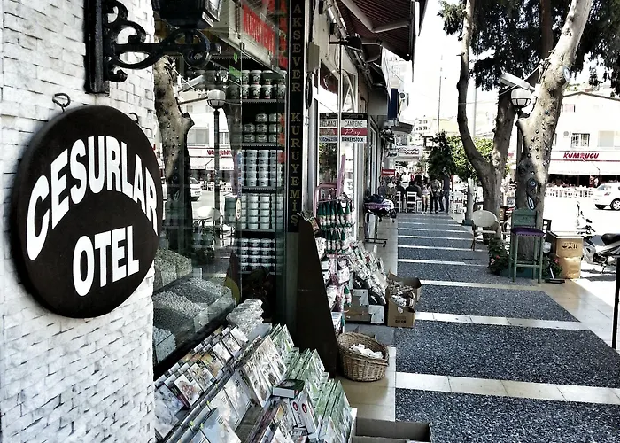 فندق مبيت وإفطار Cesurlar Çeşme